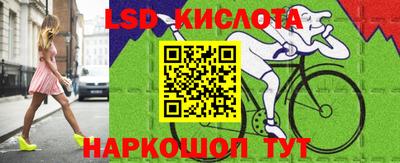 шишки Кингисепп