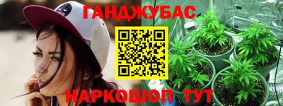 шишки Кингисепп