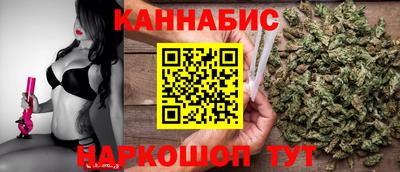 шишки Кингисепп