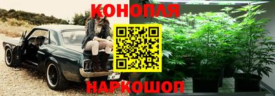 индика Кимры