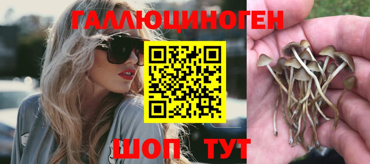 Галлюциногенные грибы прущие грибы  Вход с VPN  Балтийск 